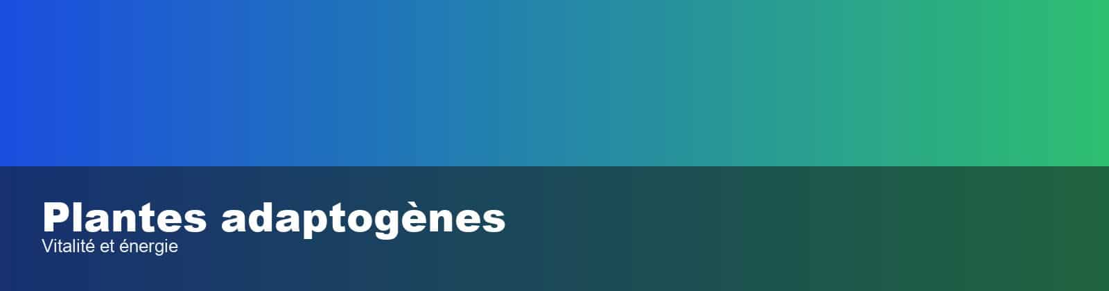Plantes adaptogènes - Forme & Santé